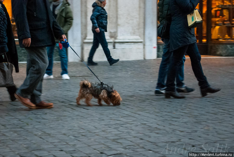Рим вечерний Рим, Италия