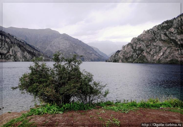 Сары челек карта