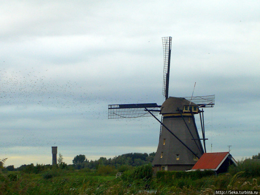 Мельница и стая птиц Киндердейк, Нидерланды