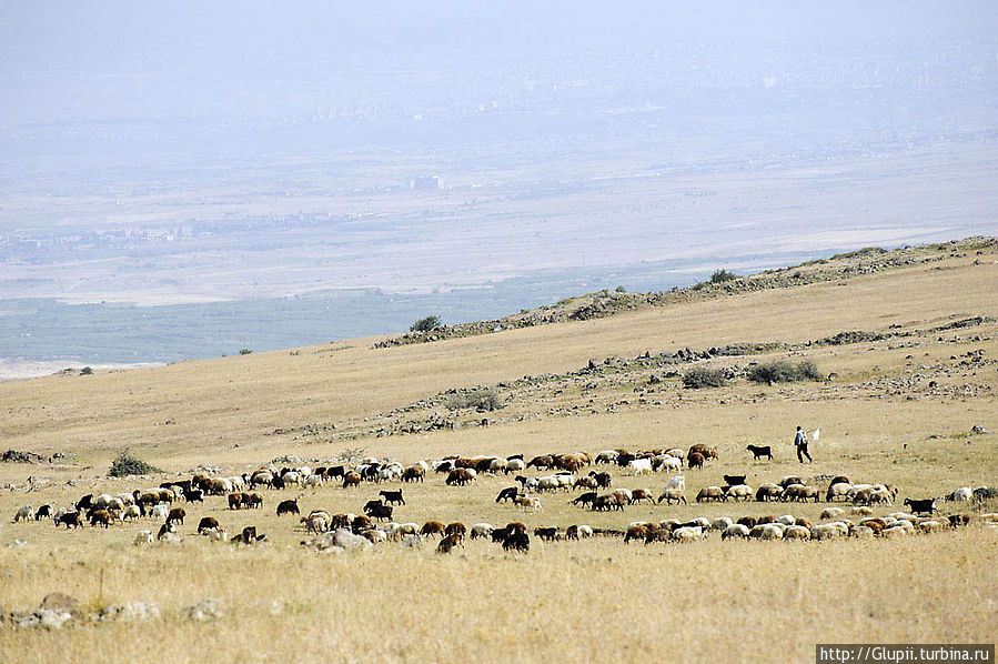 Склоны Арагаца облюбовали для своей жизни курды — иранский народ, представляющий собой совокупность многочисленных племенных групп, которые занимаются полукочевым скотоводством и земледелием. Арагац гора (4095м), Армения