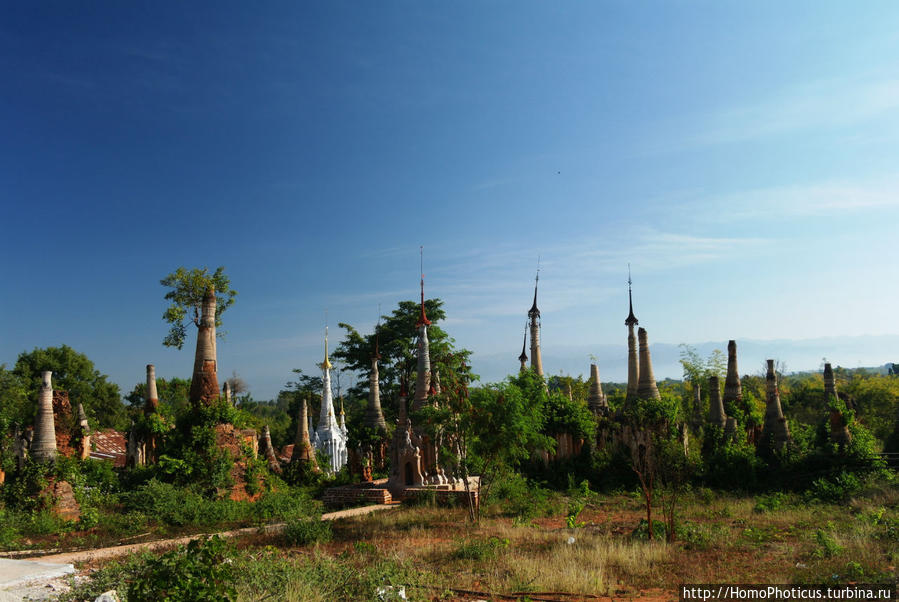 Лес ступ Озеро Инле, Мьянма