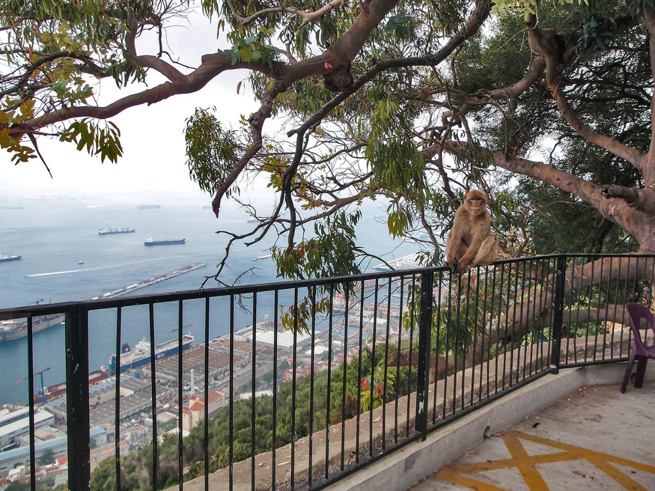 Встреча с Гибралтаром. День в особом мире Гибралтар