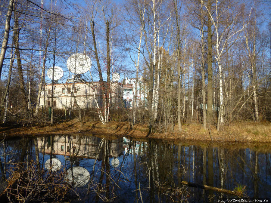 Я этим городом храним. Приморская окраина Санкт-Петербург, Россия