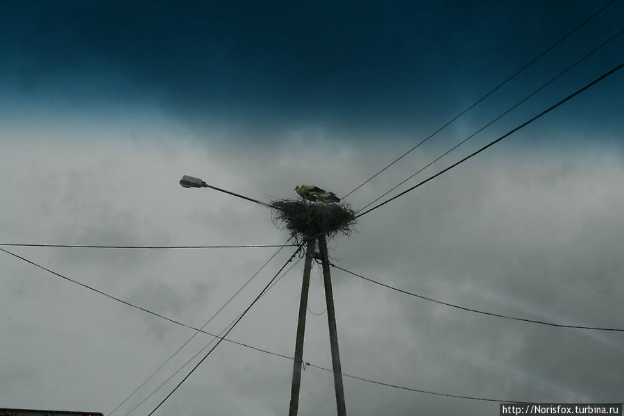 Проселочные дороги Польша