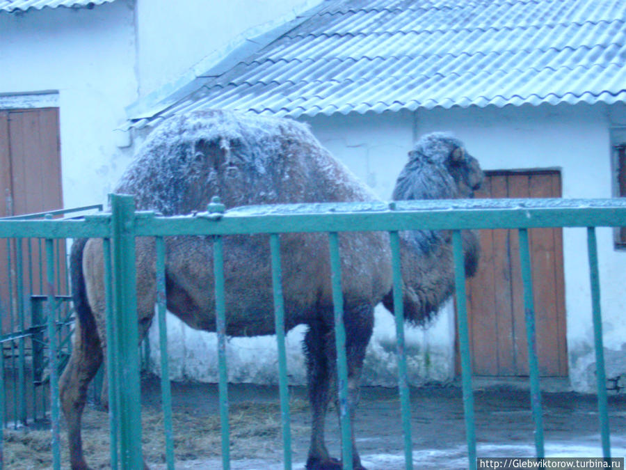 Зоопарк Гродно, Беларусь