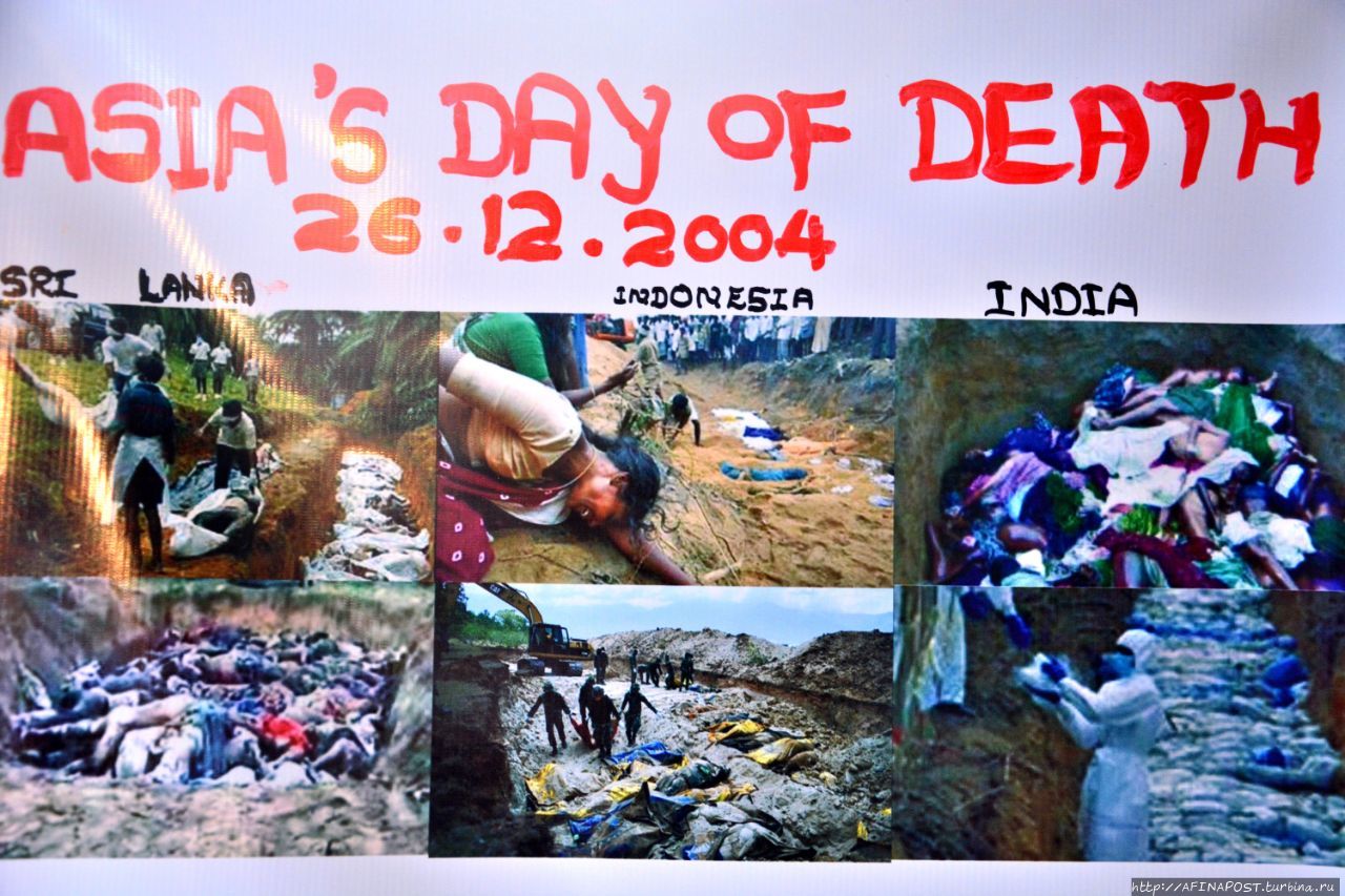 Музей Цунами Хиккадува, Шри-Ланка