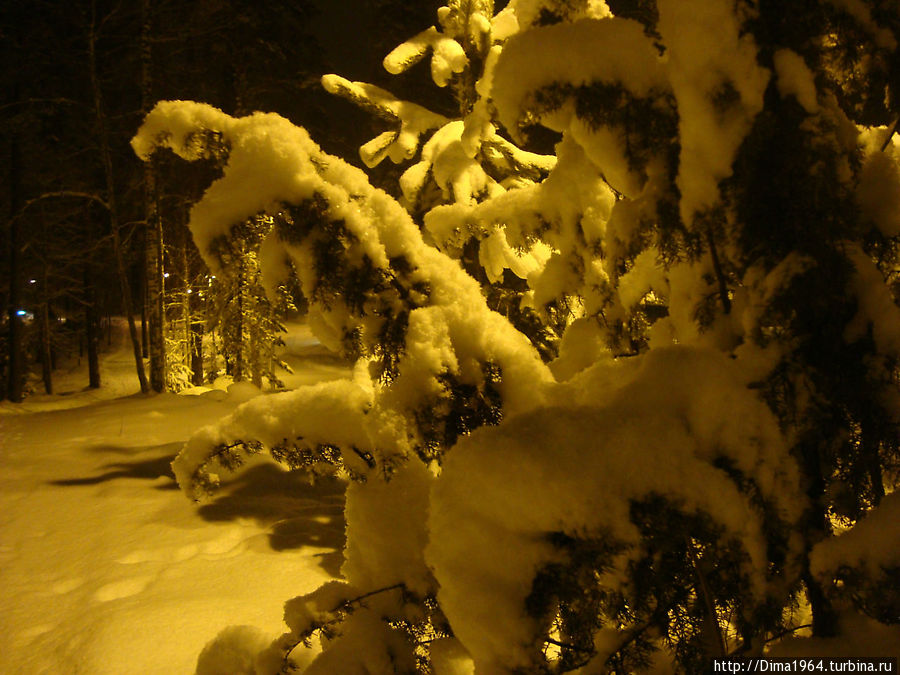Зимняя сказка в Иматре Иматра, Финляндия