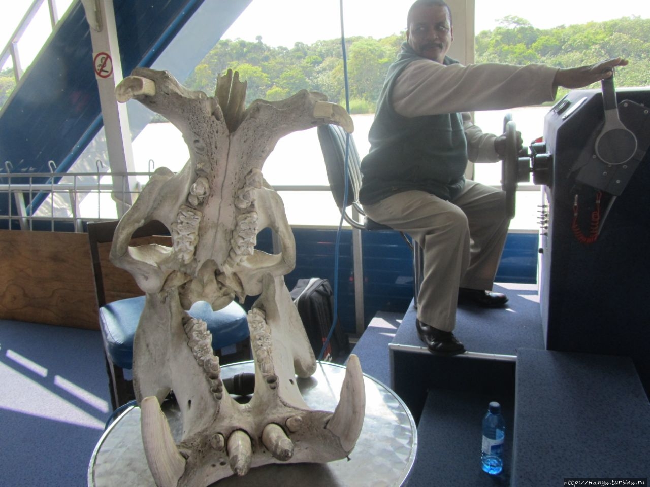 Водно-болотный резерват Санта-Лусия Болота Исимангалисо Национальный парк, ЮАР Водно-болотный резерват Санта-Лусия Болота Исимангалисо Национальный парк, ЮАР