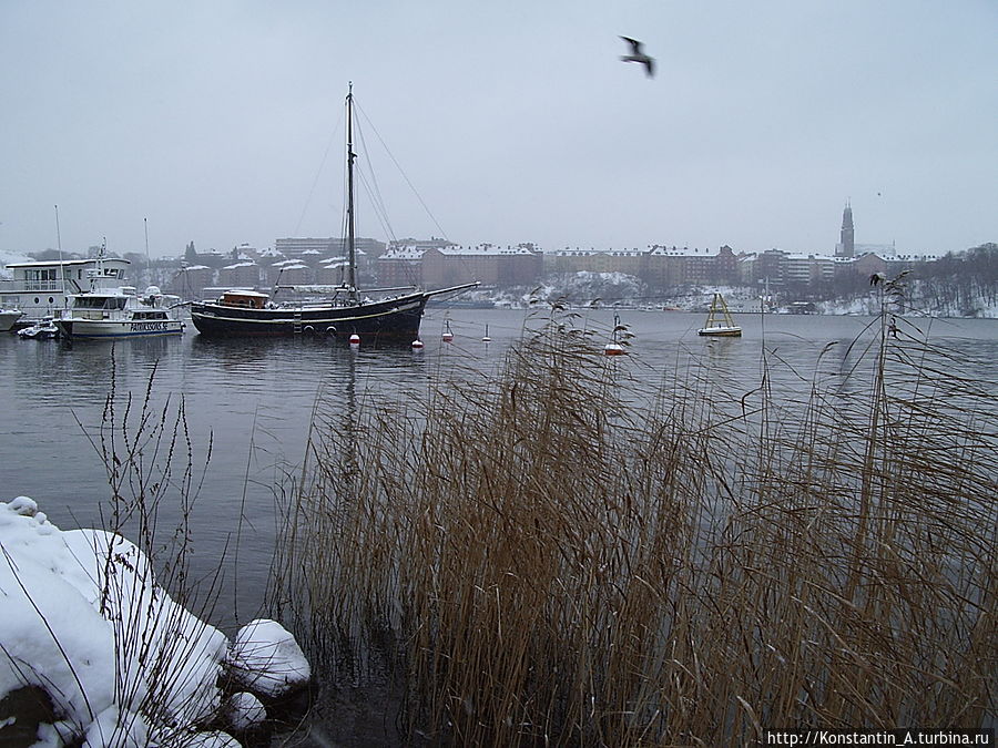 вдоль залива Стокгольм, Швеция
