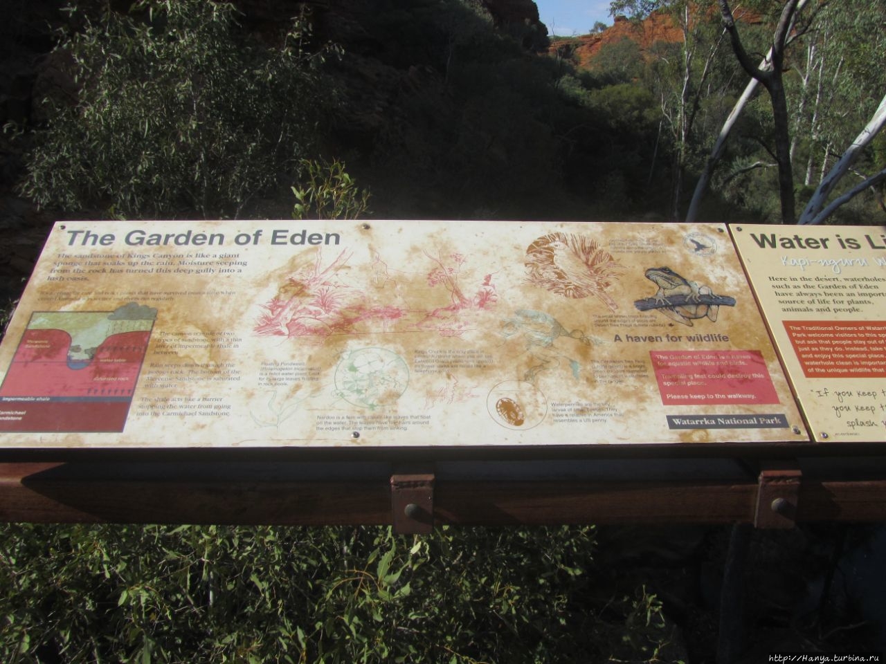 Тропа Кингс Каньон Рим и сад Эдема Петерманн (Кингс-Каньон), Австралия