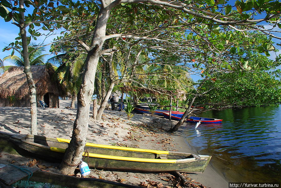 Отдых и жизнь в Гондурасе Остров Роатан, Гондурас