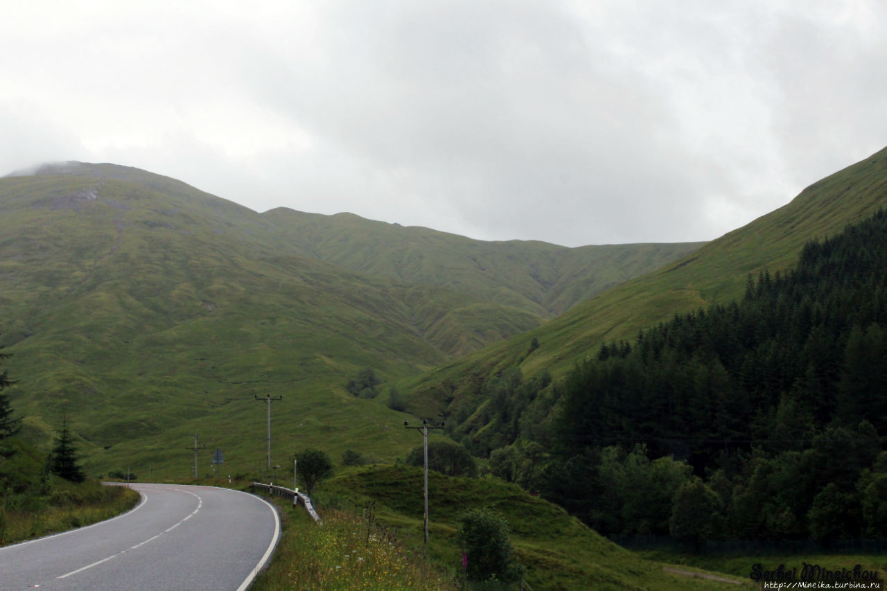 Направление 