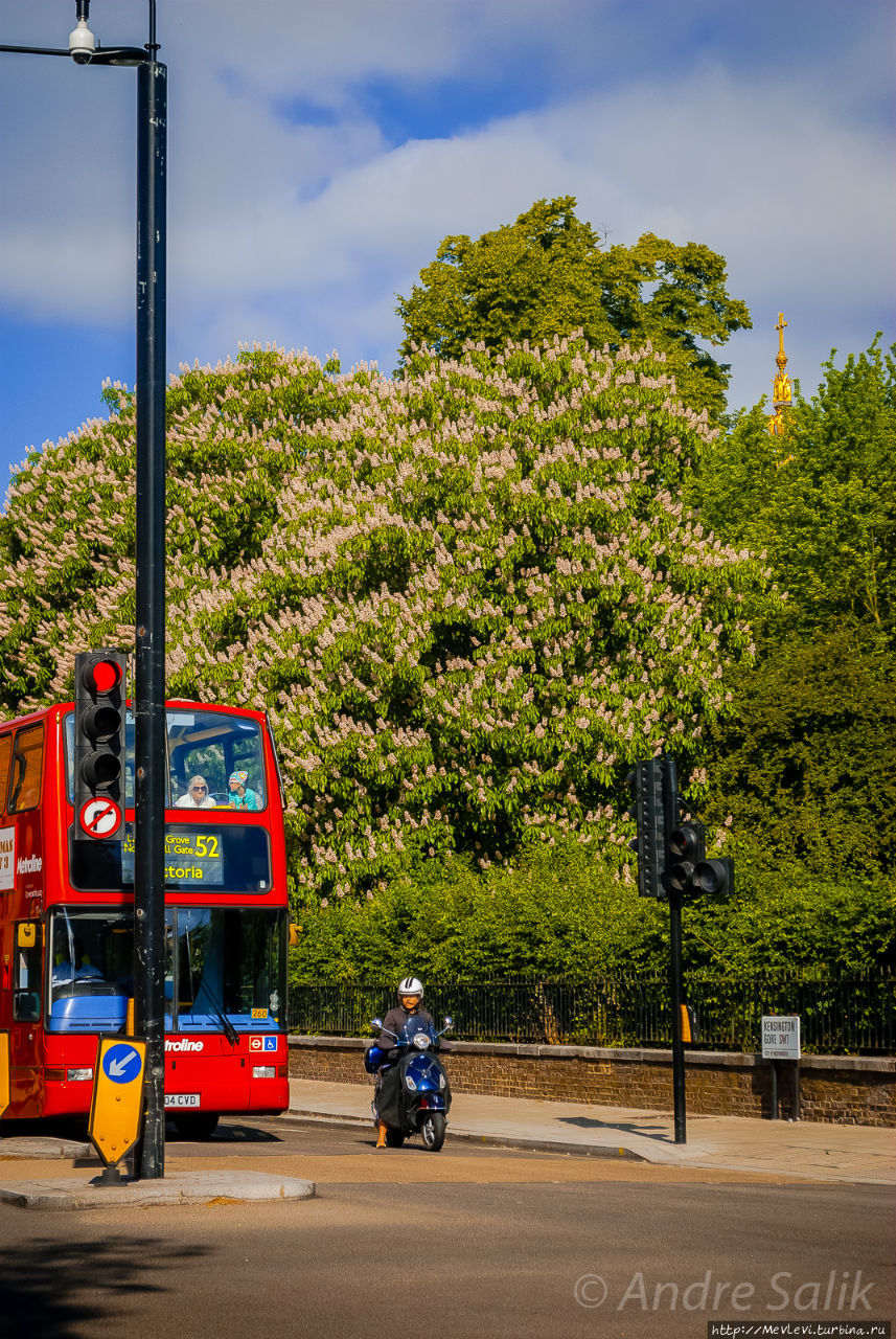Цветущий утренний Лондон Лондон, Великобритания