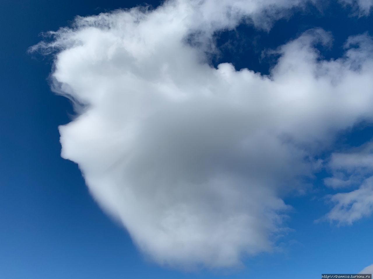 Зефирка в полете