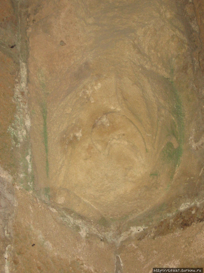 Лилия — эмблема Людовика VII Акко, Израиль
