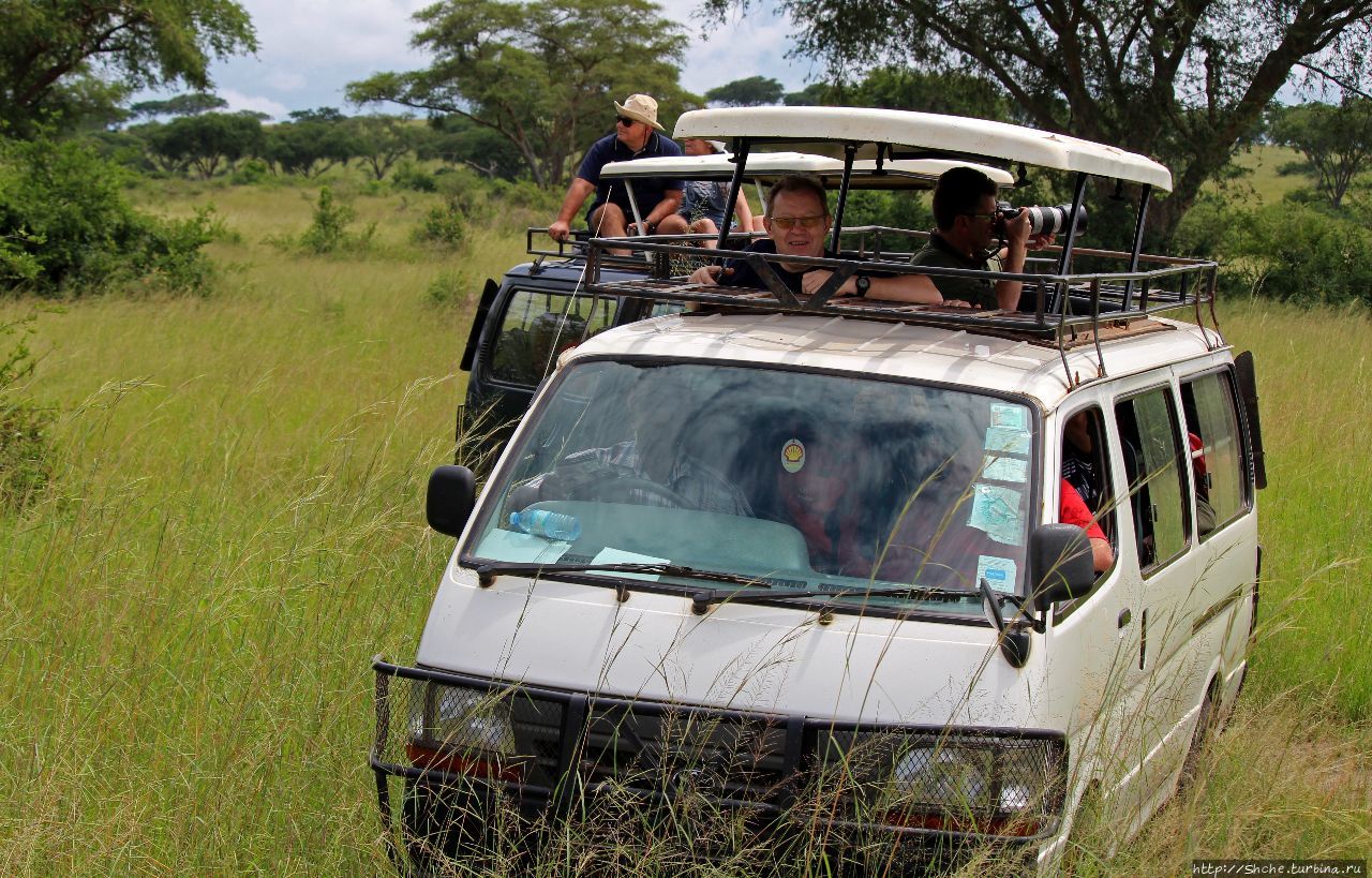 Сектор Ишаша Королевы Елизаветы Национальный Парк, Уганда