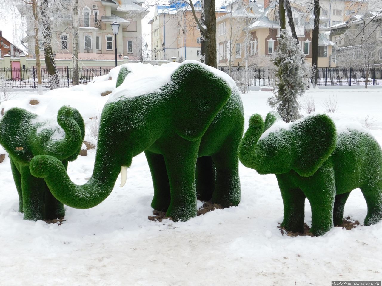 Карякинский сад Рыбинск, Россия