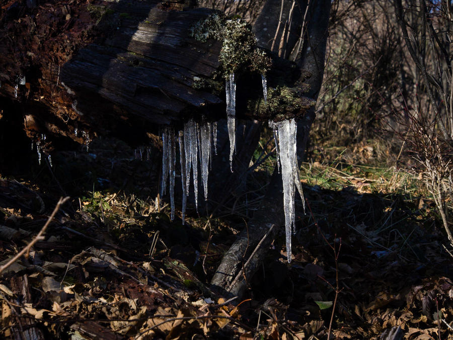 Зима на Сент-Хеленс Ванкувер, CША