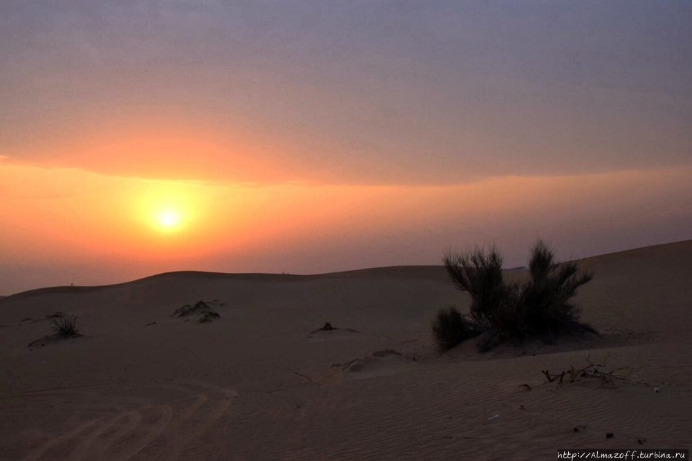 Еще одно сафари. На этот раз в песках Арабских Эмиратов. Малеха, ОАЭ