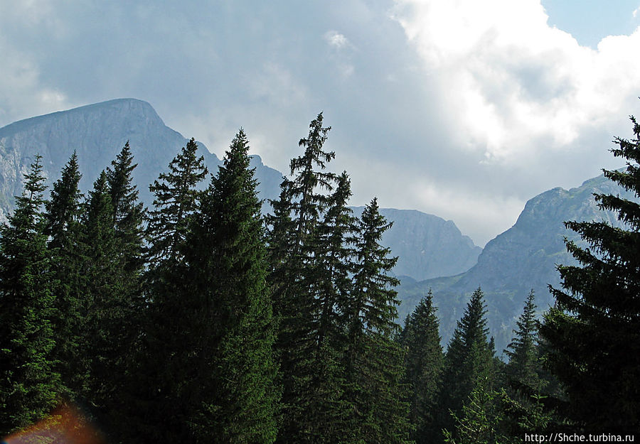 Чем живет черногорский горнолыжный курорт летом? Жабляк Жабляк, Черногория