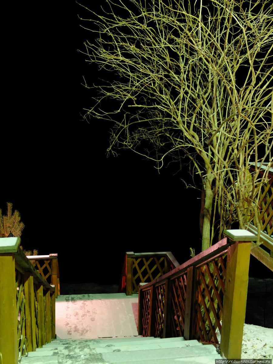 Я в весеннем лесу....пил))) Красноярск, Россия