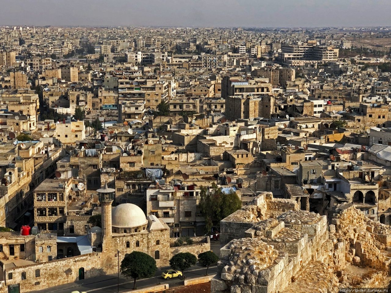 Алеппо до войны фото
