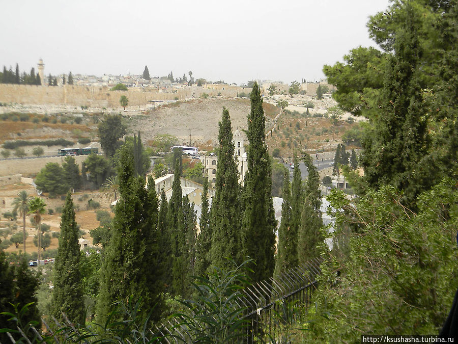 Городская стена — вид с Масличной горы Иерусалим, Израиль