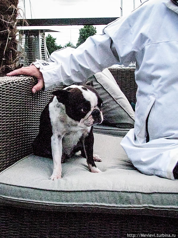 Приятное знакомство Рига, Латвия