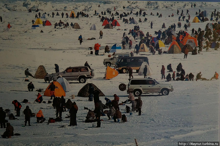 Фото   из   календаря.  Будни   сахалинской  рыбалки. Южно-Сахалинск, Россия