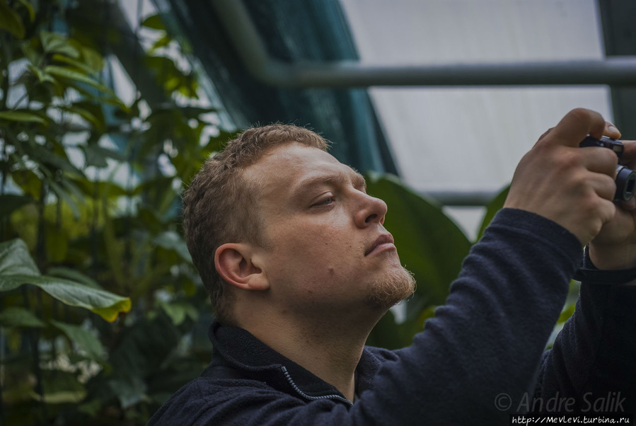 В Ботаническом саду Рига, Латвия