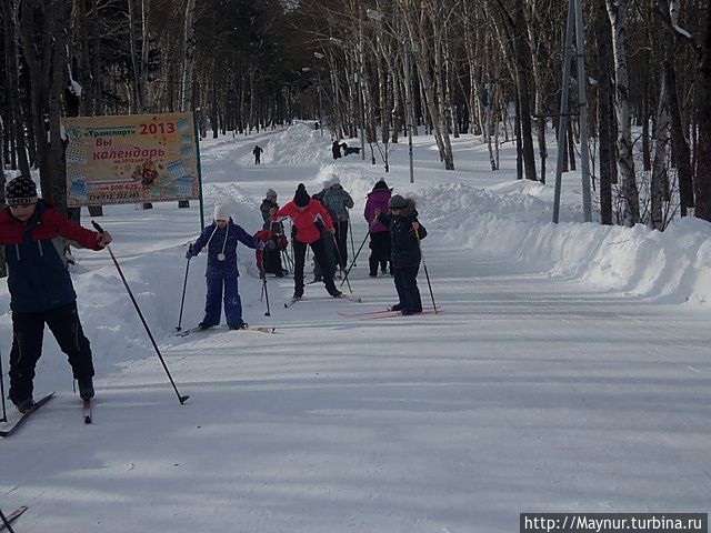 Мороз и воздух, день чудесный.