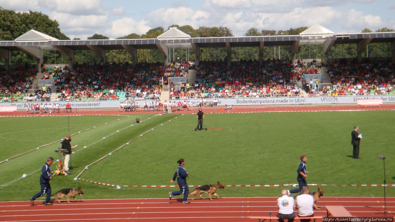 Зигер в Ульме Ульм, Германия Зигер в Ульме Ульм, Германия