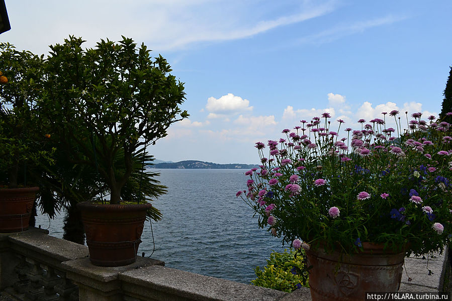 И вновь кольца Барромео на цветочных горшках