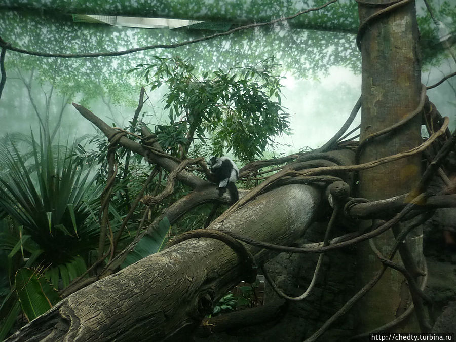 Путешествие по большим городам Техаса (Глава 9) Хьюстон, CША