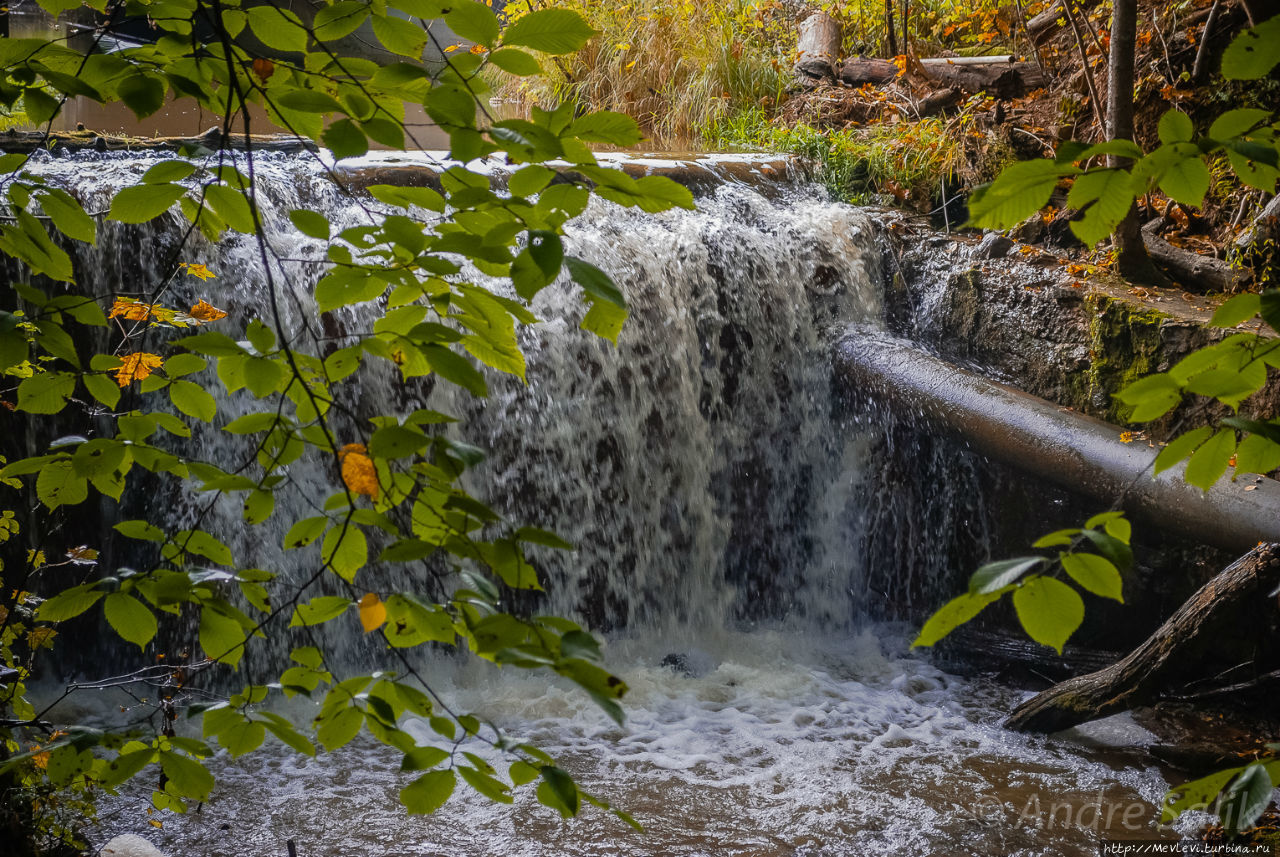 Тропа вокруг МЕЛЬНИЦЫ ИЕРИКИ Цесис, Латвия