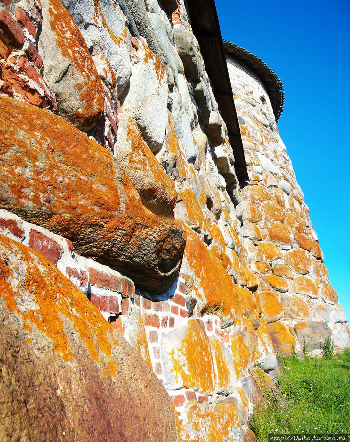 стены покрыты лишайником Соловецкие острова, Россия