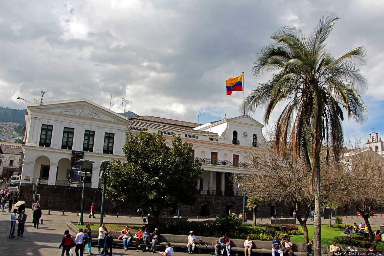 Escorts In Ecuador