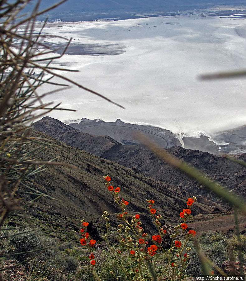 Долина Смерти. Верхняя точка Dante's Point и виды с нее Национальный парк Долина Смерти, CША