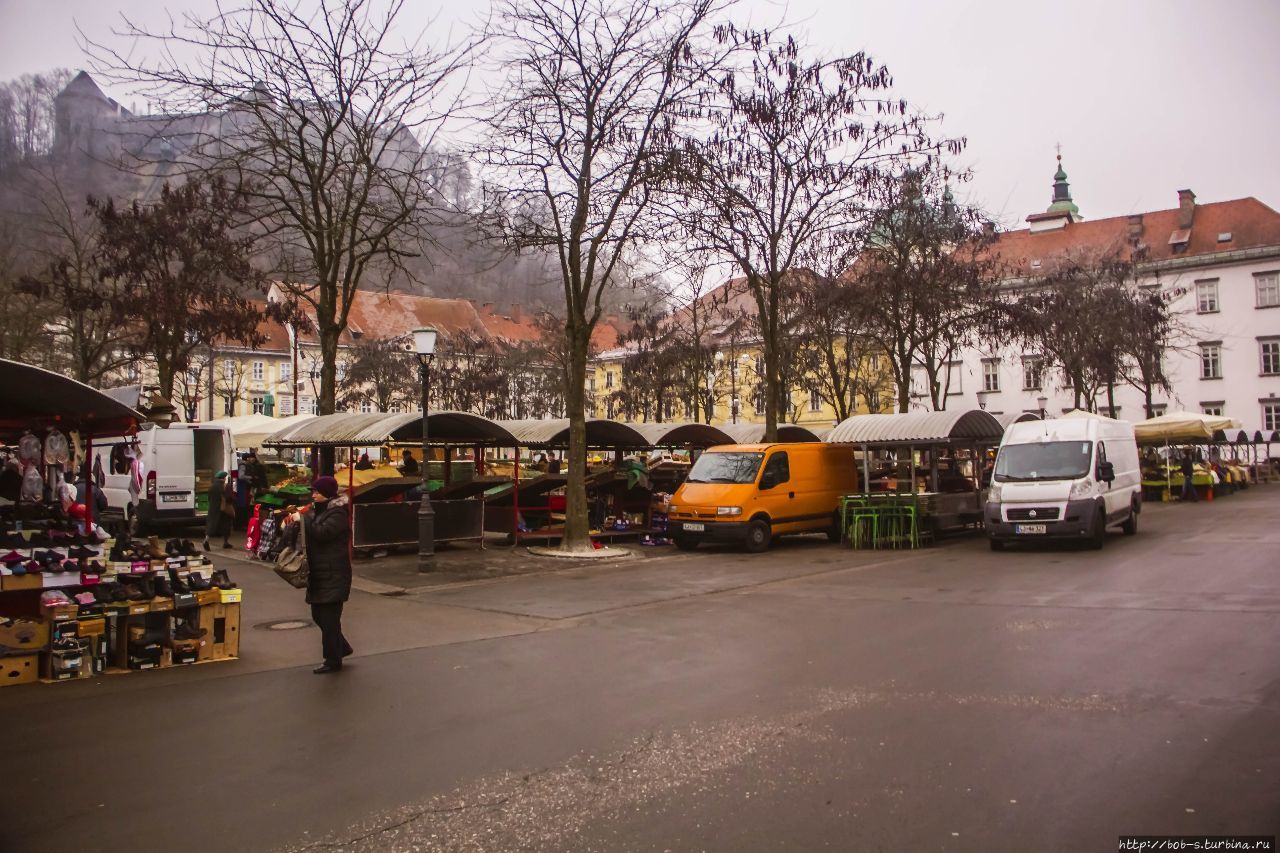Рынок в самом центре города. Любляна, Словения
