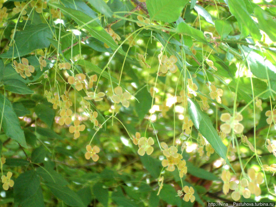 Последний день весны Оренбургская область, Россия