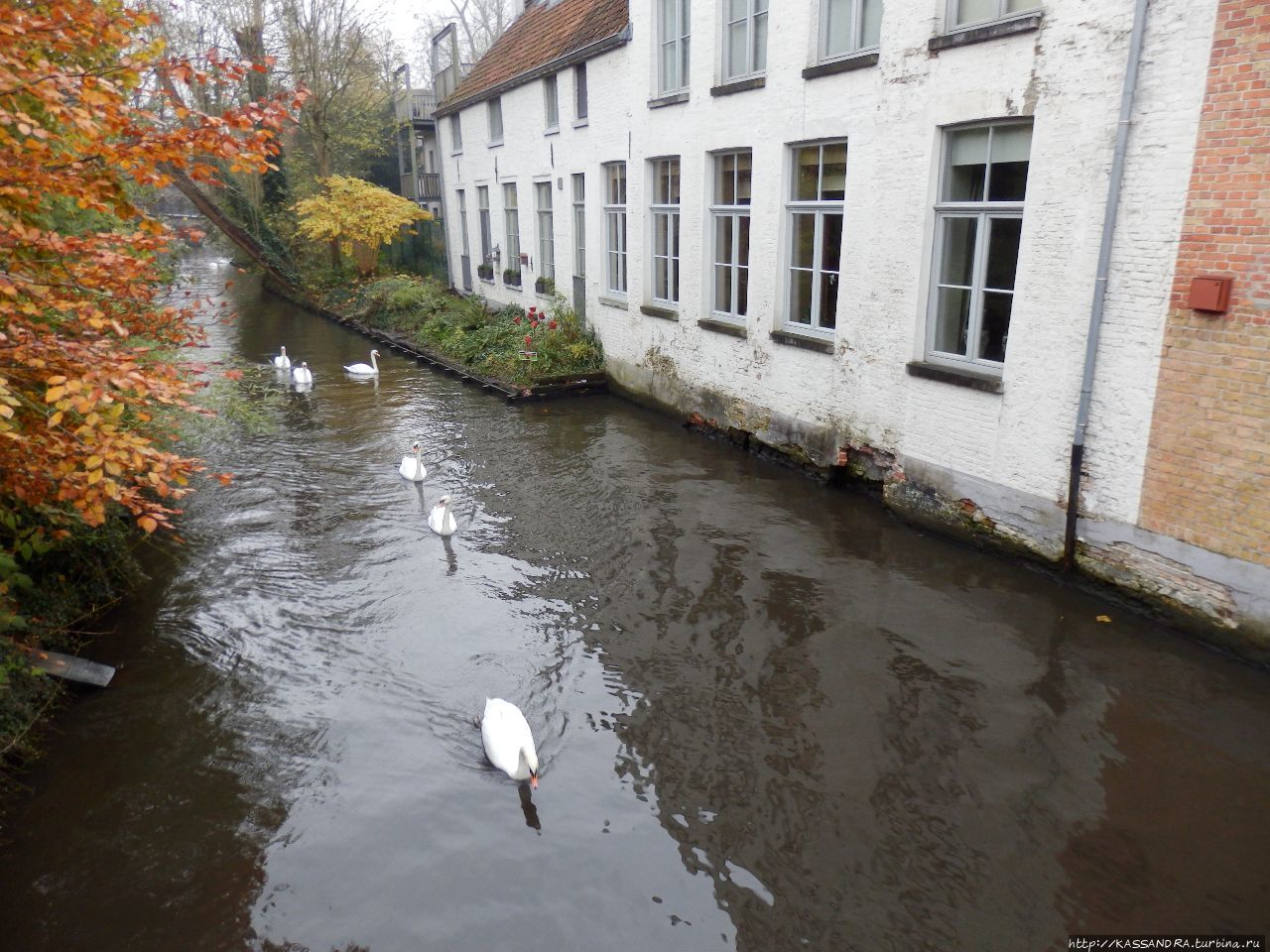 Романтичный Брюгге. Озеро Любви в парке Minnewater Брюгге, Бельгия