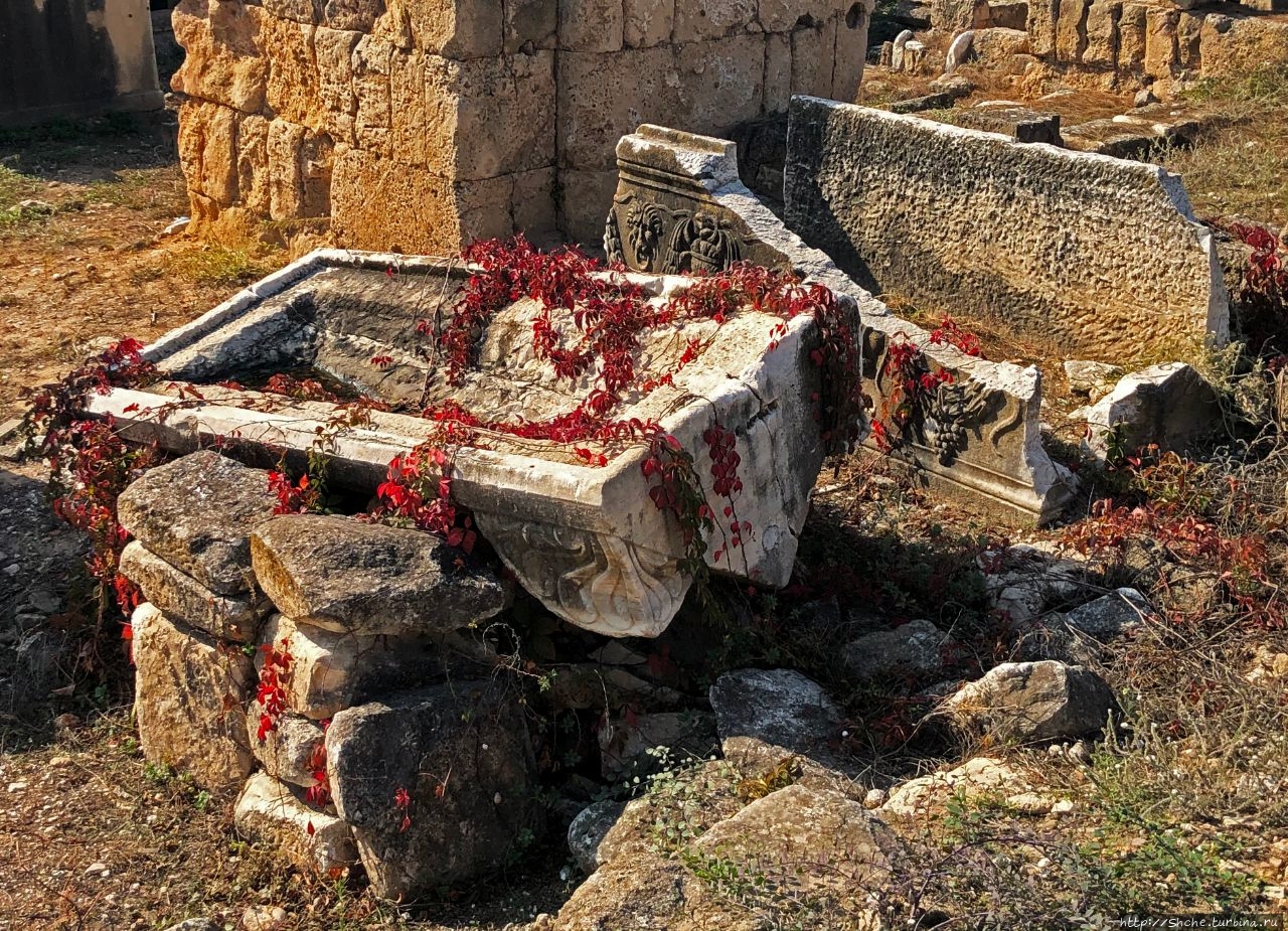 Руины древнего Тира. Самый впечатляющий некрополь в мире