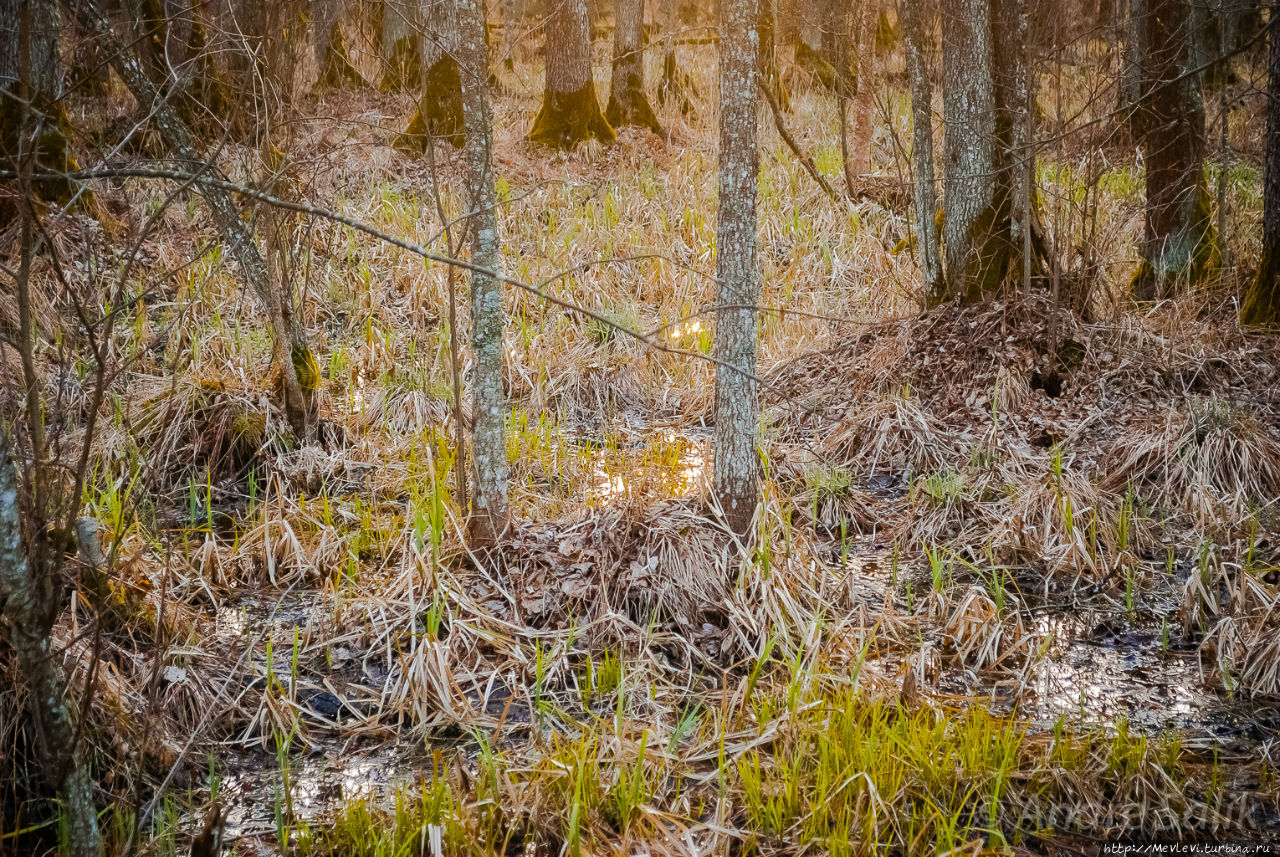 Озеро Слокас Кемери, Латвия