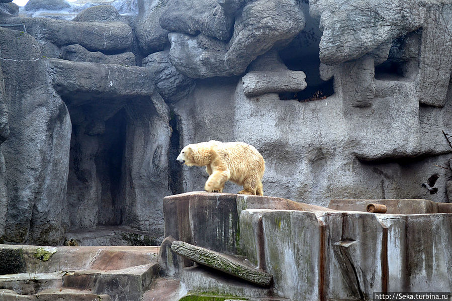 В будапештском зоопарке зимой Будапешт, Венгрия