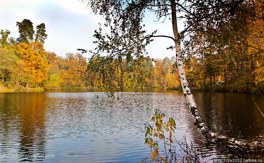 Пуща-Водица — парк на окраине Киева Киевская область, Украина