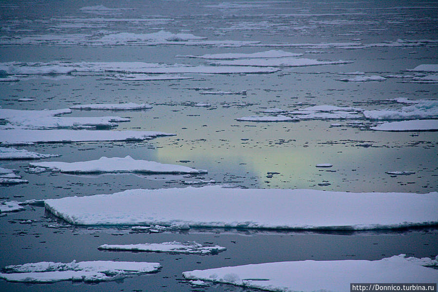 красивые отливы на воде, и закат и рассвет и северное сияние одновременно
