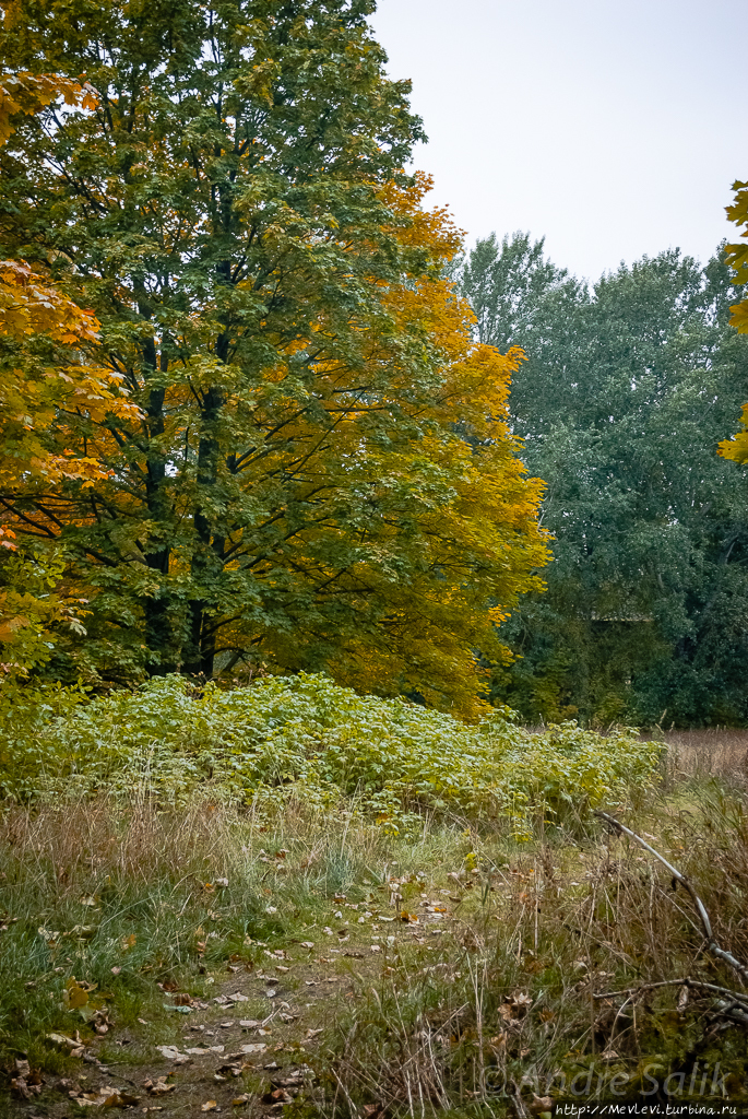 Красивая осень!!! Рига, Латвия