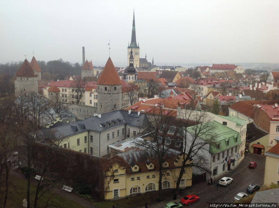 Вид на исторический центр Таллина. Таллин, Эстония