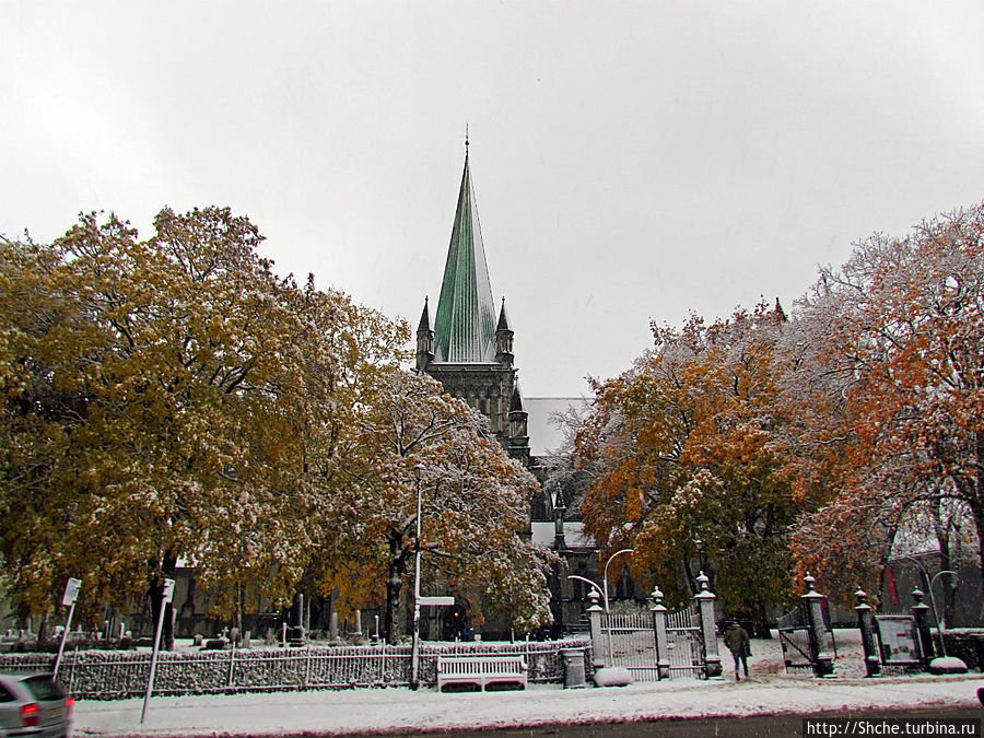 вид на собор со стороны городской ратуши Тронхейм, Норвегия
