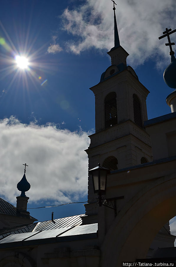 Грачи прилетели Костромская область, Россия